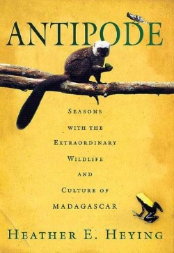 cover of Antipode